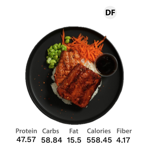 Sesame Salmon Meal